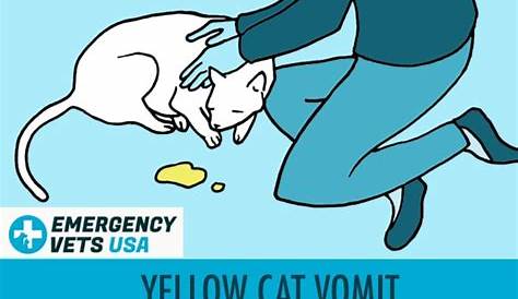 Cat Vomit Color Chart | What Does Your Cat's Vomit Colors Mean (2023)