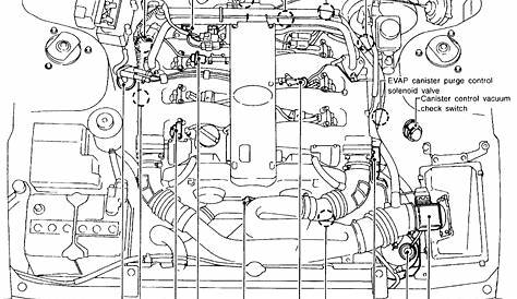 2000 Infiniti G20 Engine Diagram : Xa 4546 2000 Infiniti G20 Engine