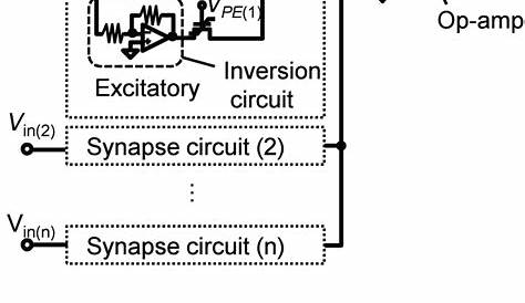 motor neuron coto circuit diagram