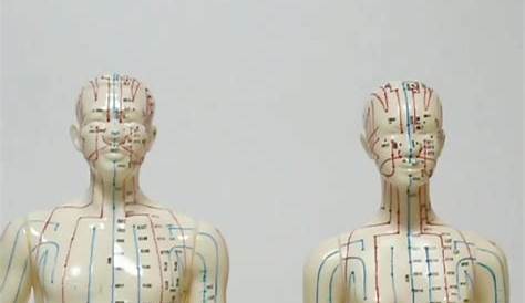 english female acupuncture points chart