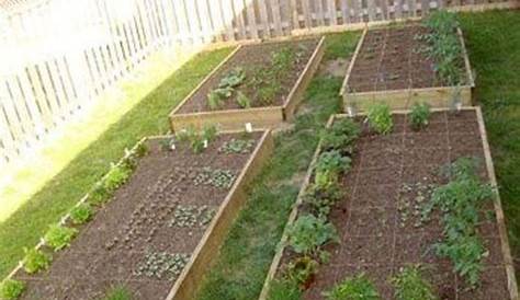 container vegetable garden layout