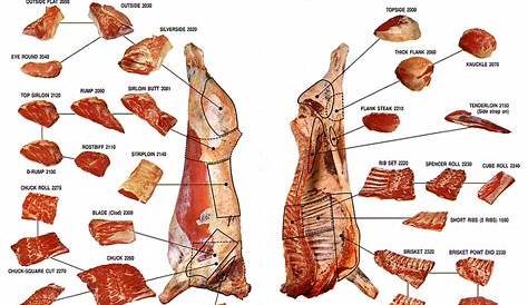 Beef Cuts Diagrams with Descriptions | 101 Diagrams
