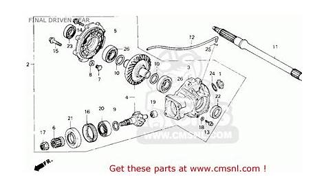 honda trx250ex motor parts diagram