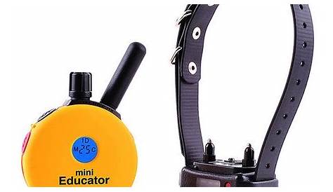 ET-300, Mini Educator E-Collar 1/2 Mile Remote Dog Trainer by E-Collar