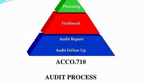 Audit Process, Audit Procedures, Audit Planning, Auditing | Audit