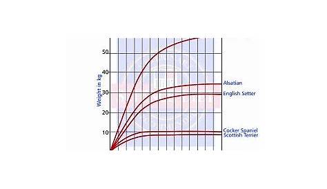 female gsp growth chart