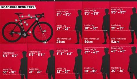 size chart for road bikes