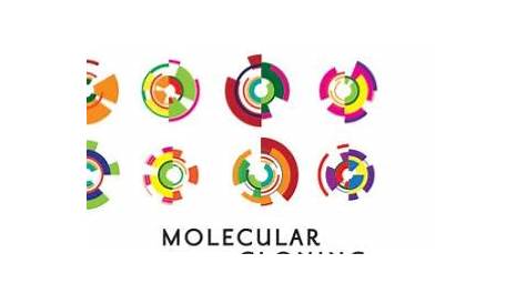 molecular cloning a laboratory manual