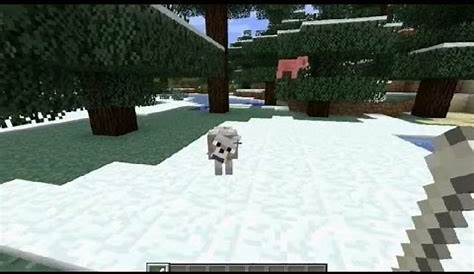 what do minecraft wolves eat