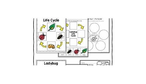 Ladybug Life Cycle Activities by Nicole and Eliceo | TpT