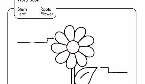 Label A Plant Worksheets - Free Printable Worksheet