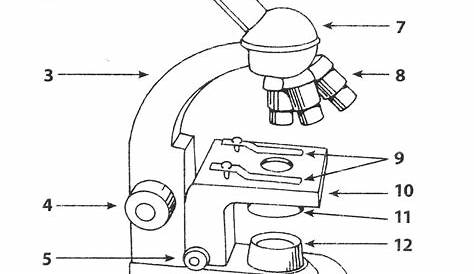 worksheet parts of a microscope