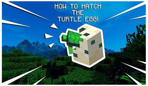 Easiest Way To Get Turtle Eggs In Minecraft