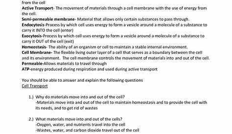 membrane and transport worksheet answer key