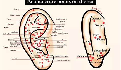 6 Powerful Ear Acupressure Points For Various Ailments and Pains