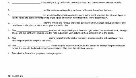 lymphatic worksheets - Bing Images | Lymphatic system notes, Lymphatic