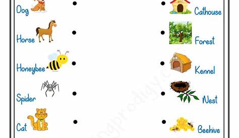 Top 186 + Animals and their homes worksheets - Inoticia.net