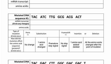 gene mutations worksheet answer key