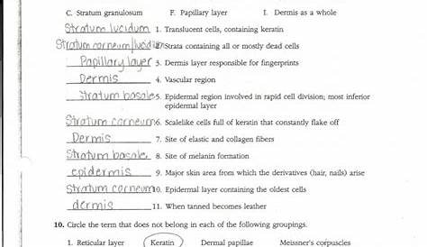 ﻿Chapter 5 The Skeletal System Answer Key Pdf › Athens Mutual Student