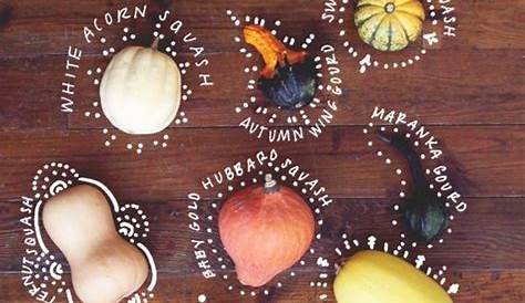 Types of gourds and squashes | Gourds, Food typography, Food infographic