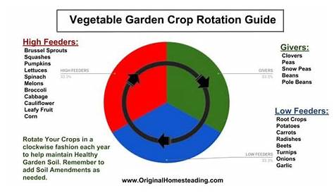 plant rotation in vegetable garden