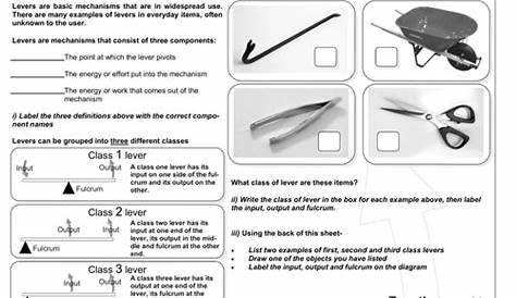 Lever Theory Worksheet KS3 | Teaching Resources