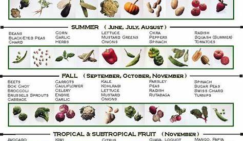 vegetable rotation planting chart
