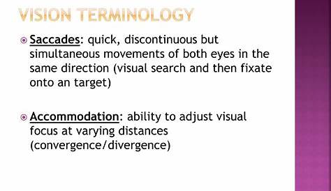 Vision Terminology Worksheet