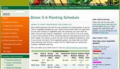 georgia vegetable garden planting schedule