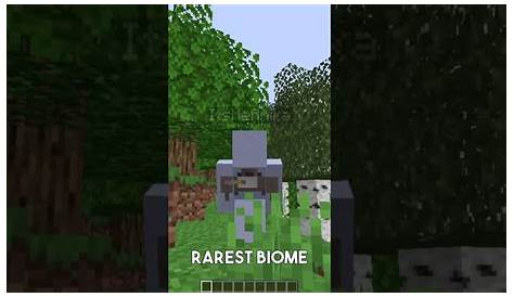 What's the rarest biome in minecraft? - YouTube