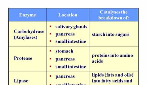 2.1 Digestion - Enzymes (Chemical Digestion) | Teaching Resources
