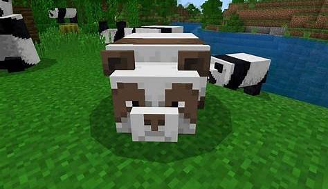 Minecraft Pandas: Spawning, Behavior, Appearance & Breeding