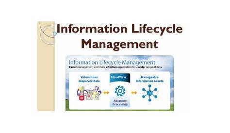 lifecycle ppt for grade 1
