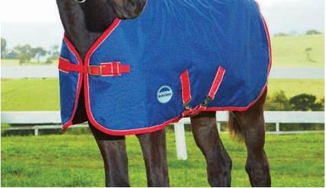 WeatherBeeta Original 1200D Foal Blanket, Rugs, Sheets and Turnout