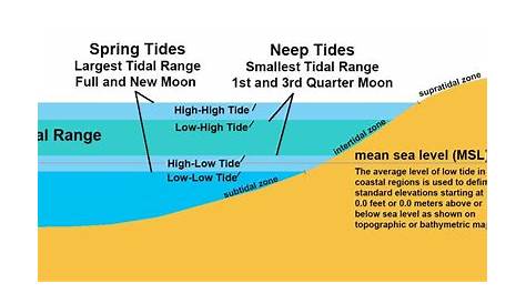 draw a neat labelled diagram showing the two types of tides - Brainly.in