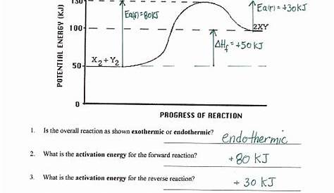 momentum worksheet key