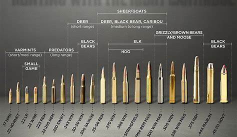 Use This Rifle Caliber Chart To Pick The Right Ammo For Hunting Bass