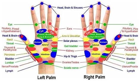hand acupuncture points chart