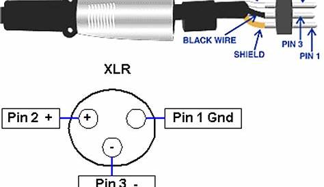 xlr wiring pinout