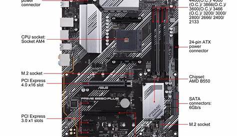 ASUS PRIME B550-PLUS AM4 ATX AMD Motherboard - Newegg.com