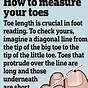 Toe Length Meaning Chart