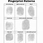 Fingerprint Activity Worksheet