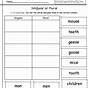Irregular Plural Nouns Worksheet 5th Grade