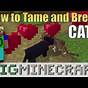 What Do Minecraft Cats Eat
