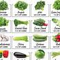 Vegetable Carb Chart Pdf