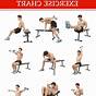 Weight Bench Exercise Chart Pdf