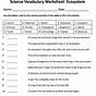 Ecosystem Worksheet For 5th Grade