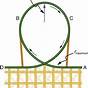 Free Body Diagram Car On Banked Curve Centripetal Force
