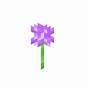 Purple Minecraft Flowers