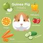 Guinea Pigs Diet Chart